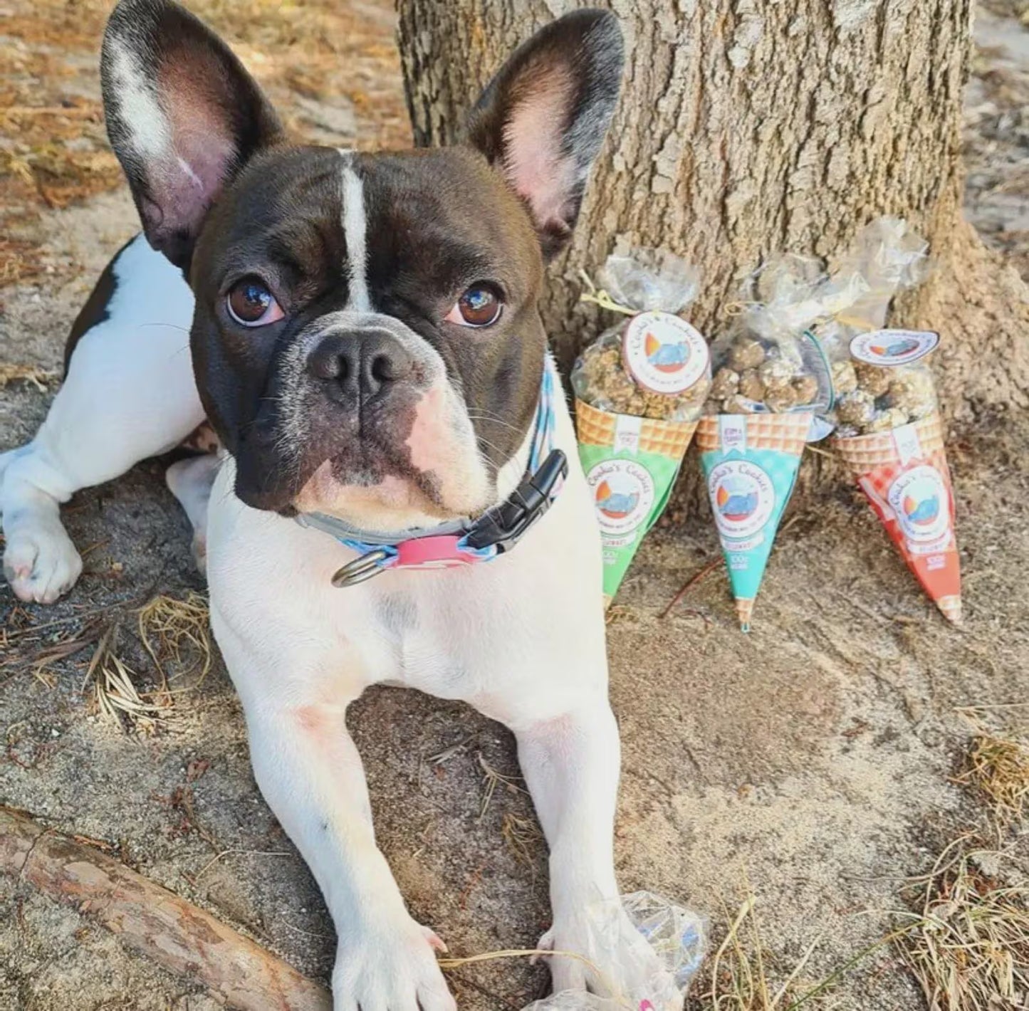 Cornet de friandises DINDE - COOKA'S COOKIES