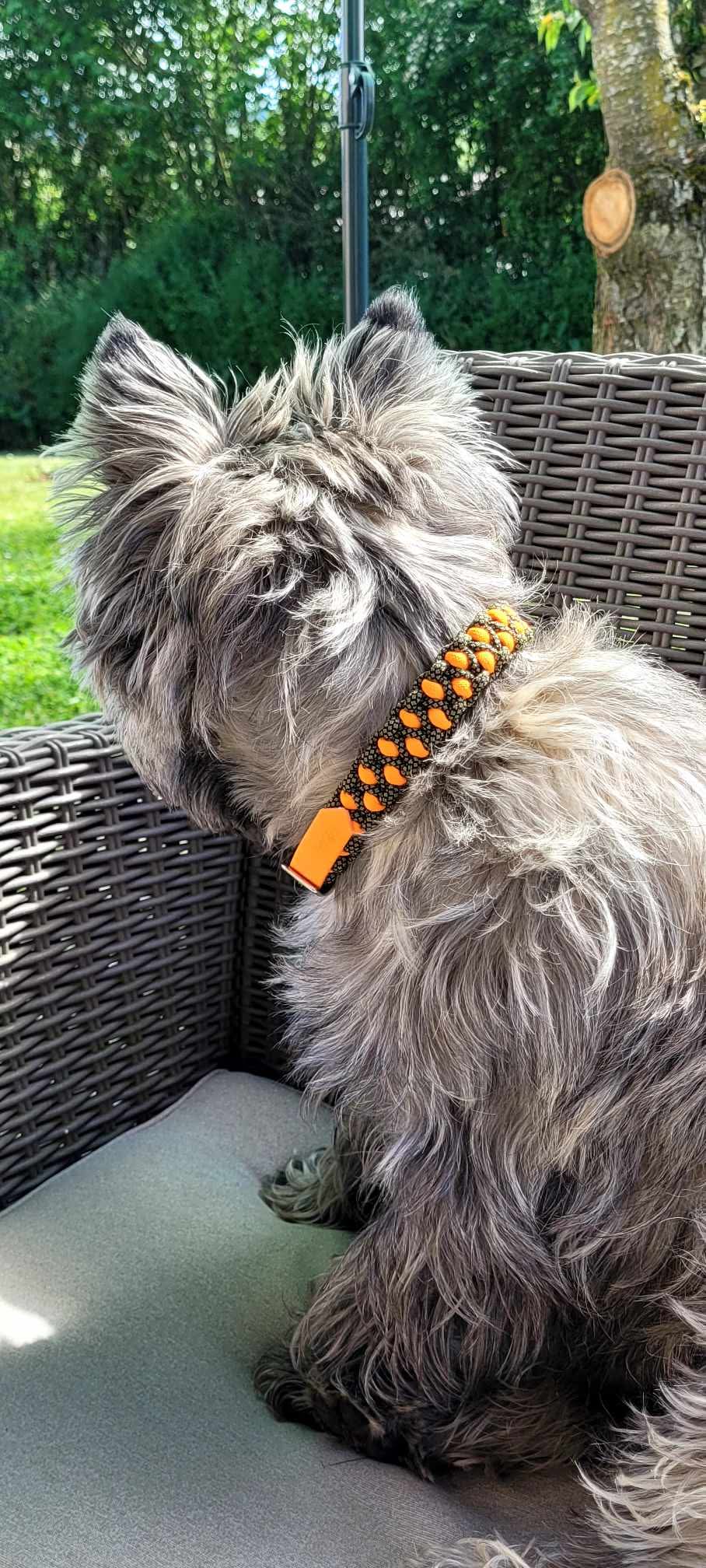 Collier réglable pour chien TRAPPEUR - largeur 2cm