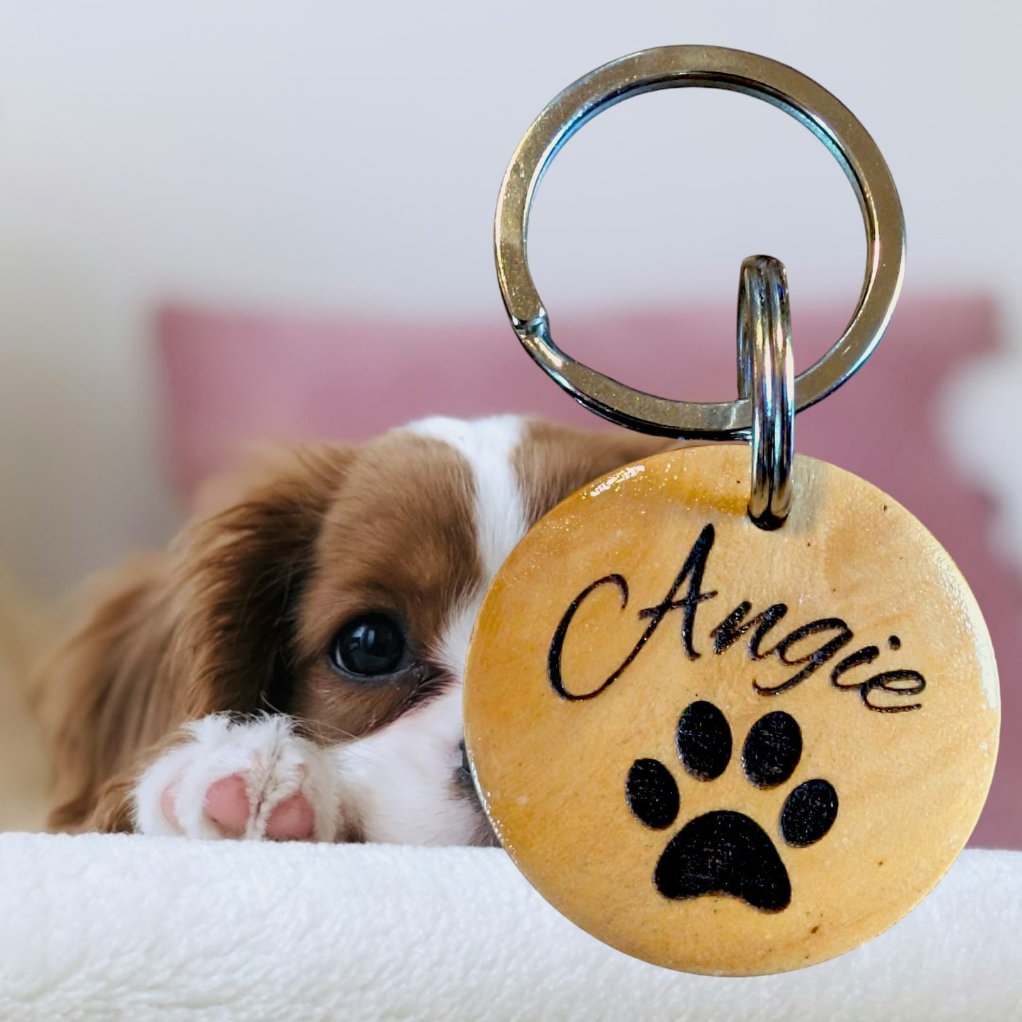 Varnished wooden dog identification tag | paw print design