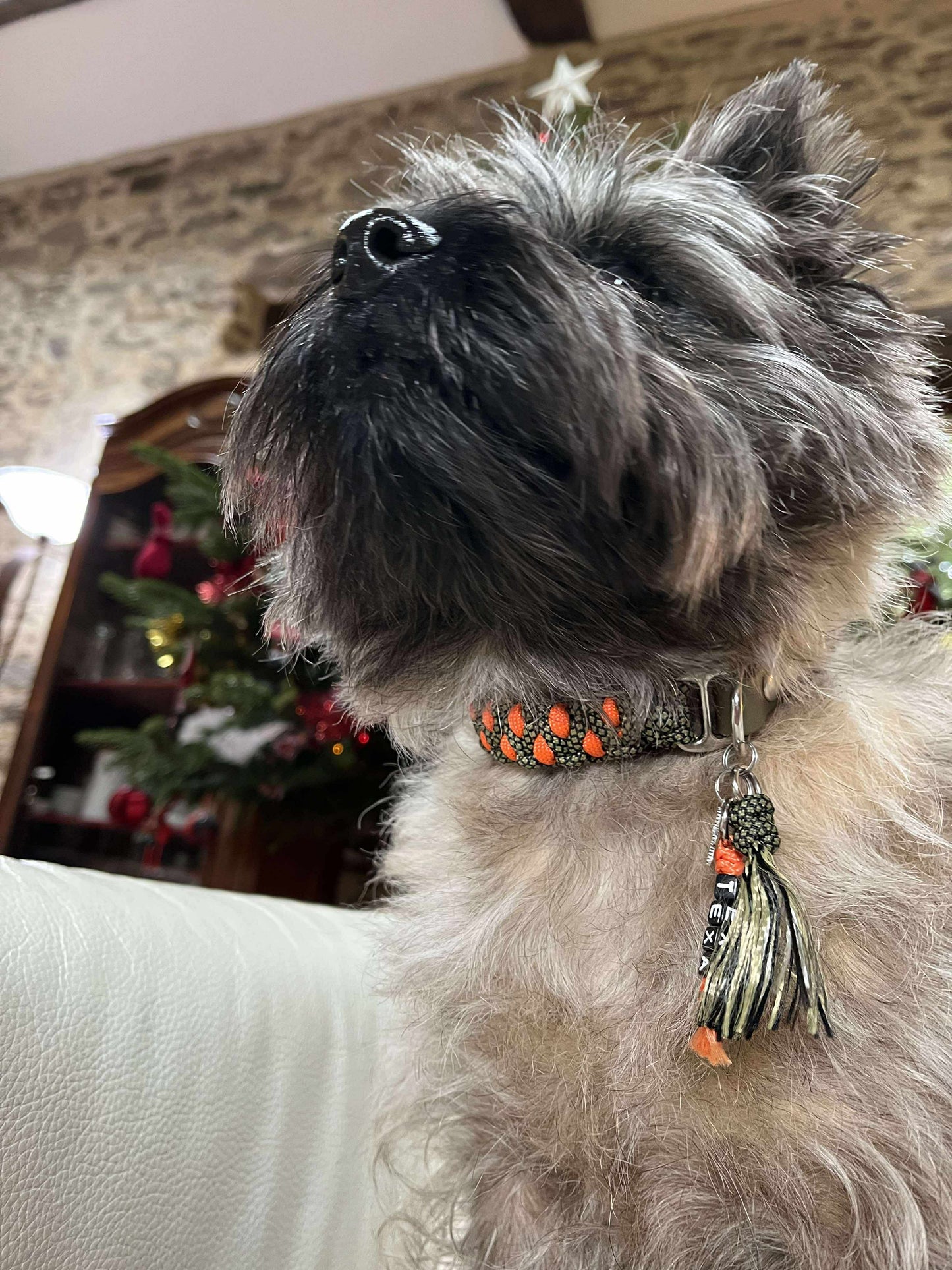 Trapper-Hundehalsband Orange/Khaki – 2 cm breit | Wouf-Leine