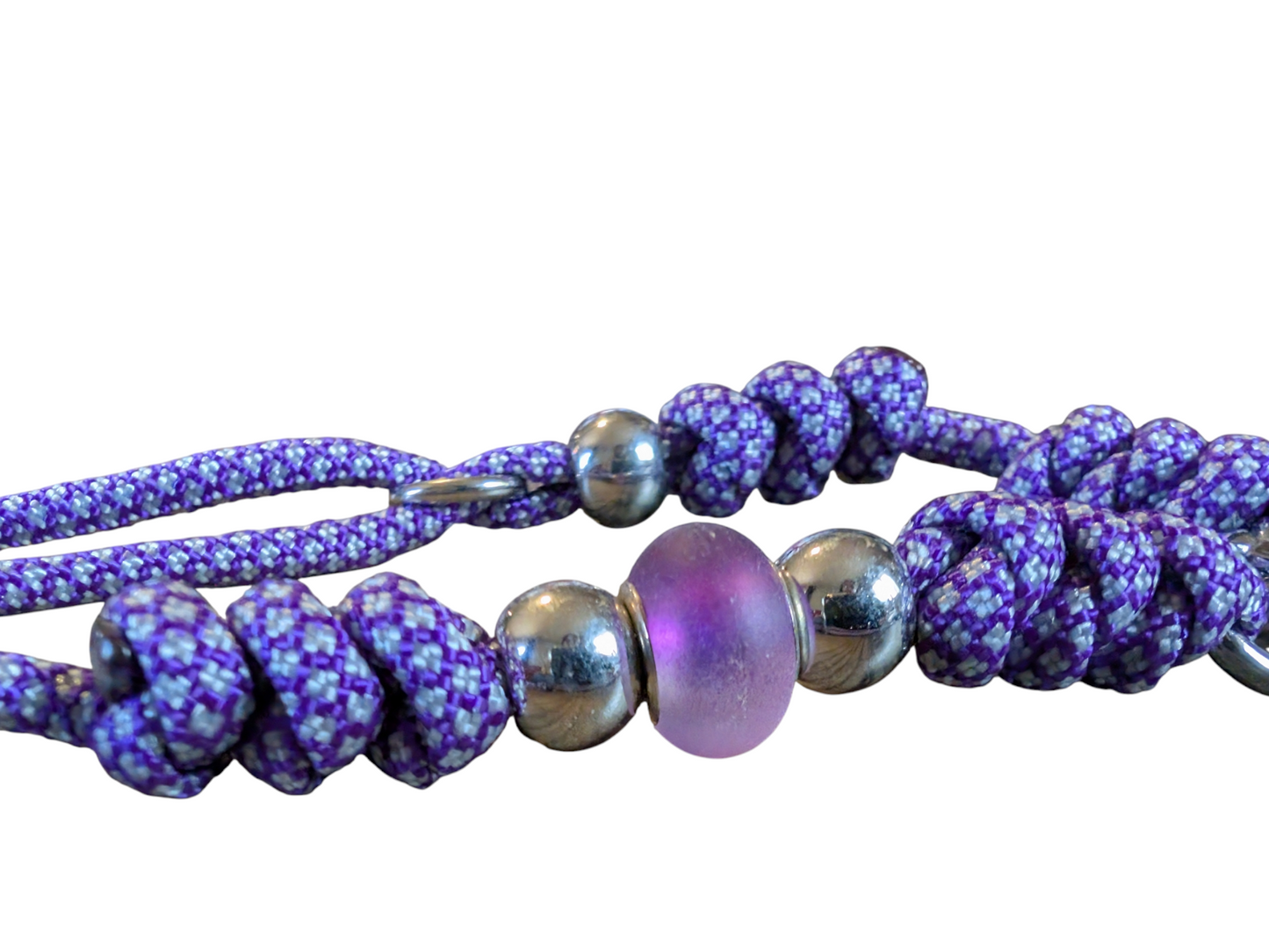 Laisse d'exposition canine