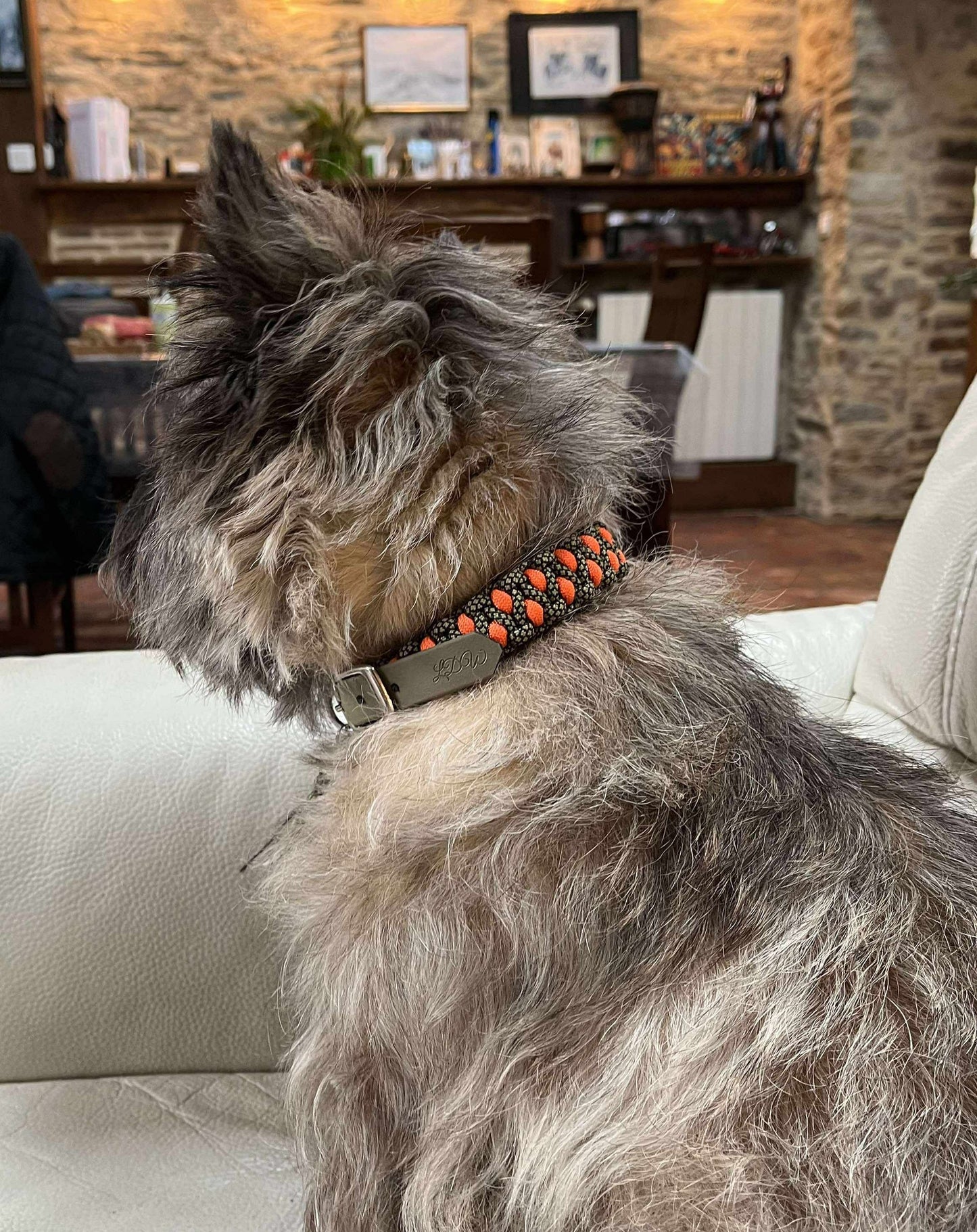 Trapper-Hundehalsband Orange/Khaki – 2 cm breit | Wouf-Leine