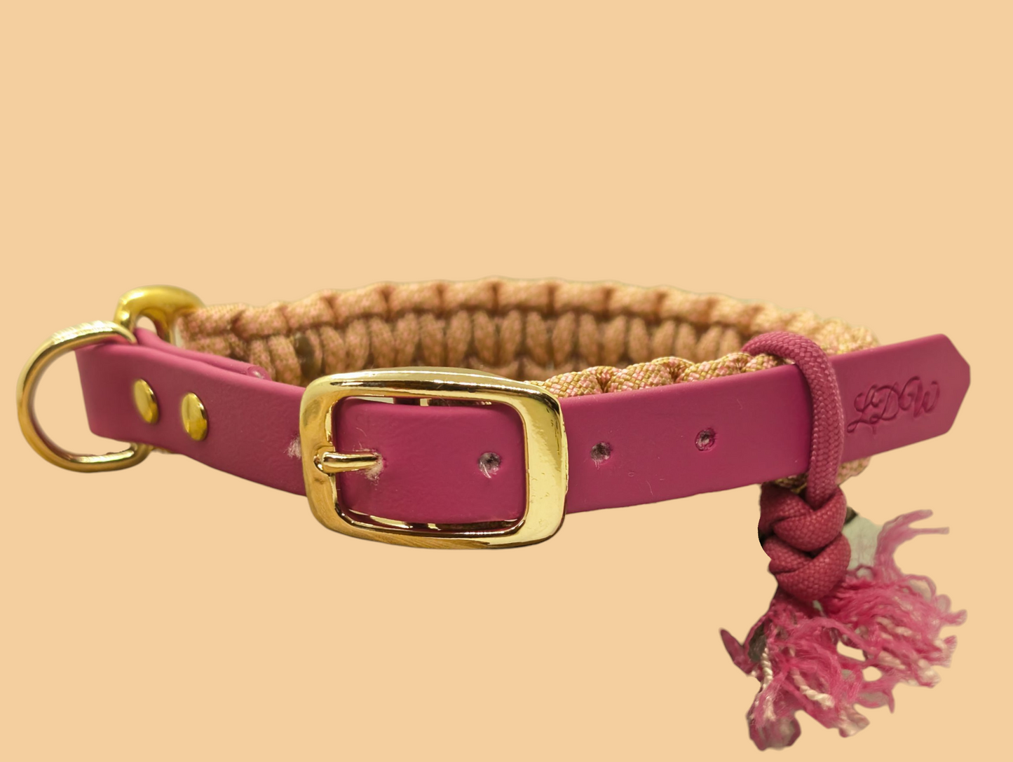 Verstellbares Hundehalsband – 2 cm breit | Hundeleine