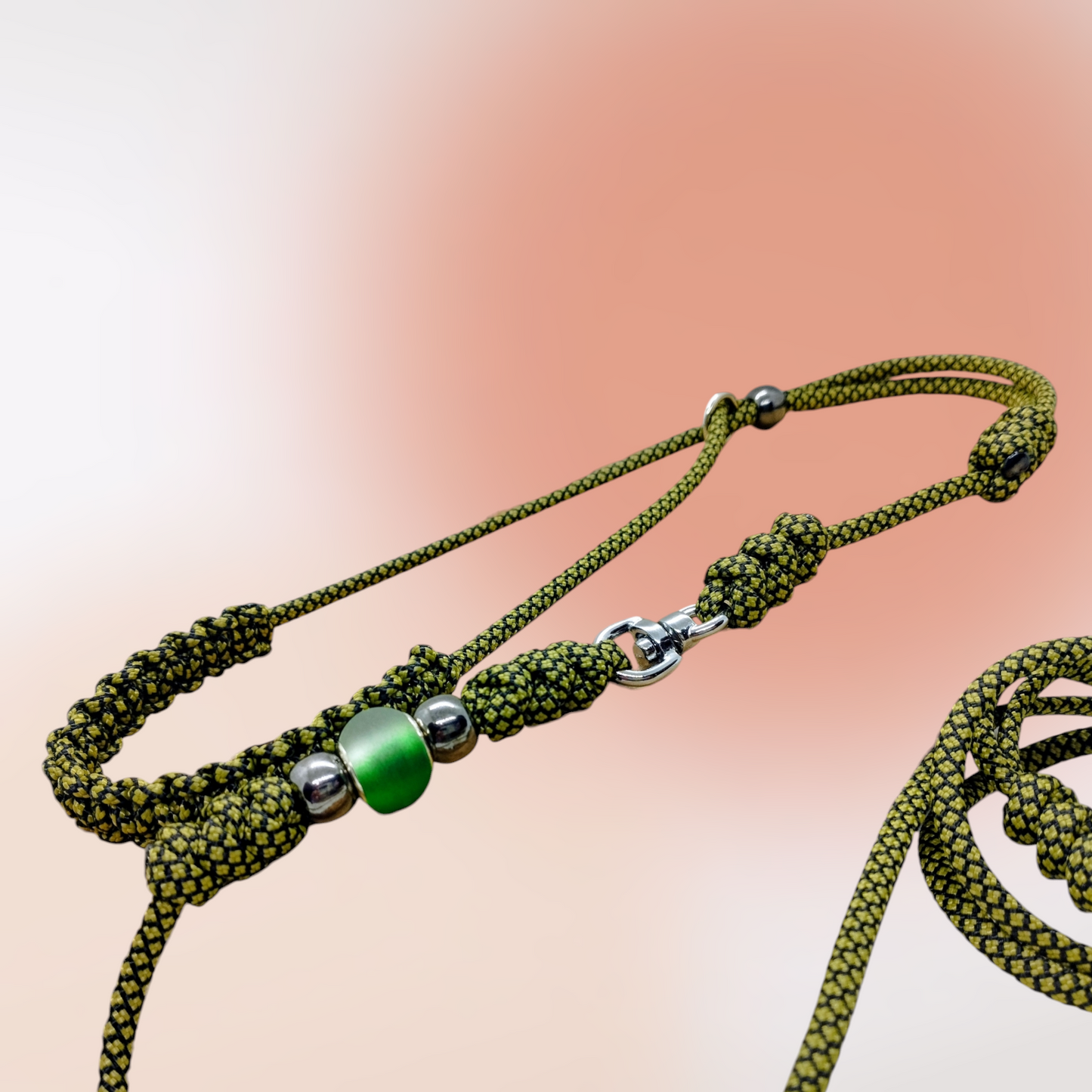 Laisse d'exposition canine