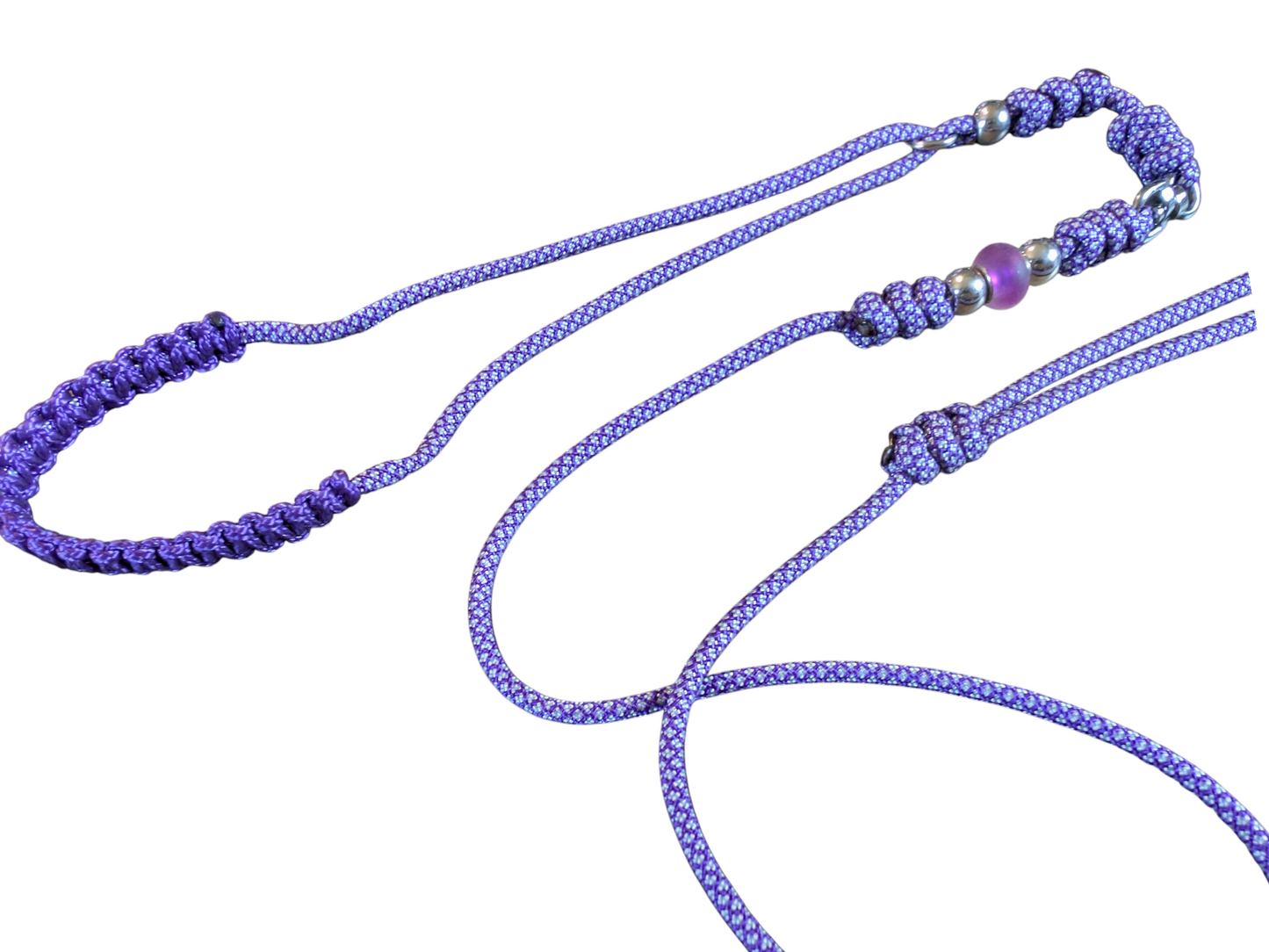 Laisse d'exposition canine