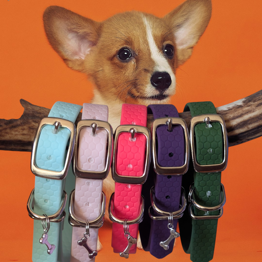 Collier pour chien  Pop Dog "Hexa-Confort" | Hexa 16 mm, 20mm | Laisse de Wouf