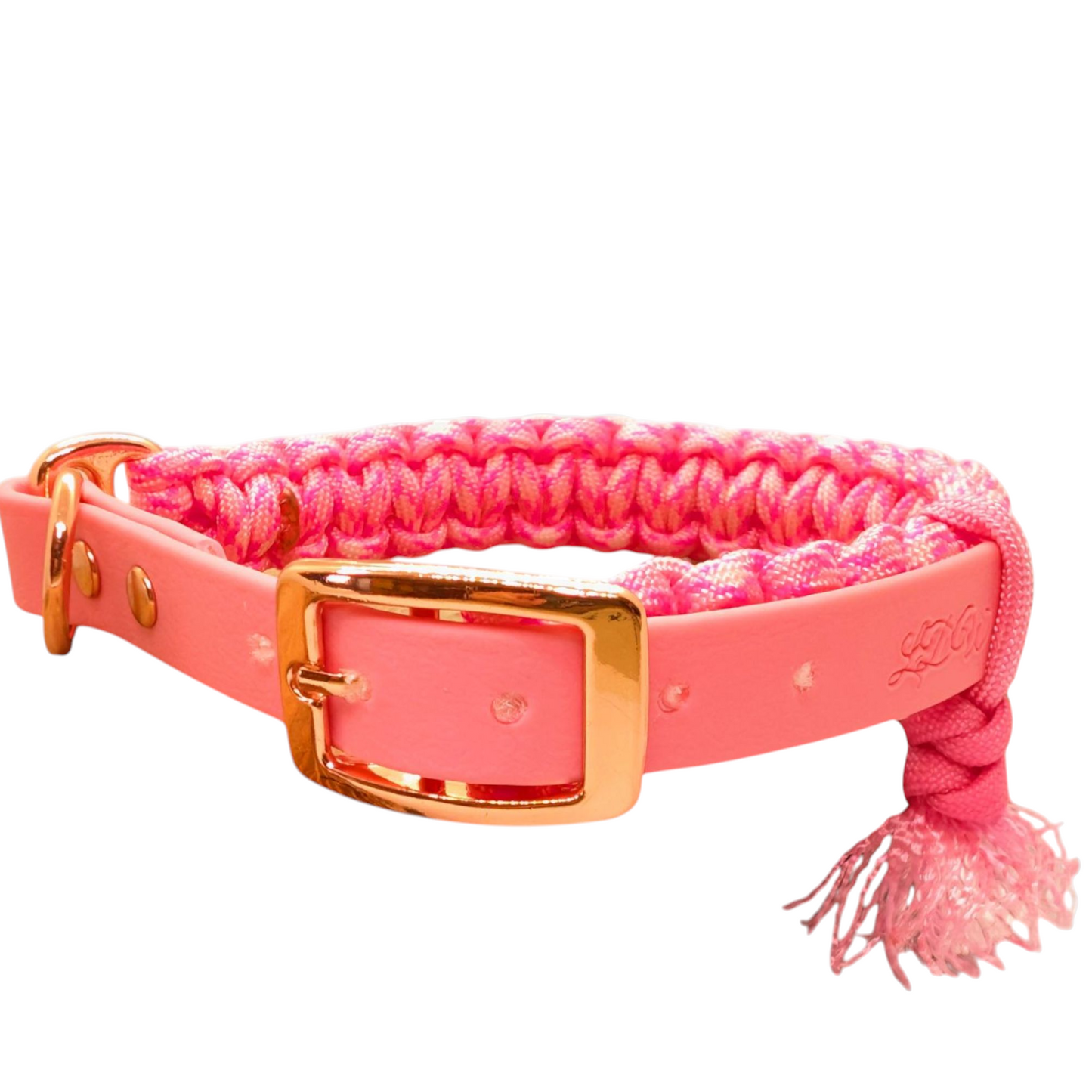 Collier réglable pour chien BUBBLE GUM - largeur 2cm