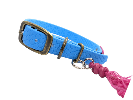Adventurer Dog Collar | Blue Hex 20mm | Woof Leash