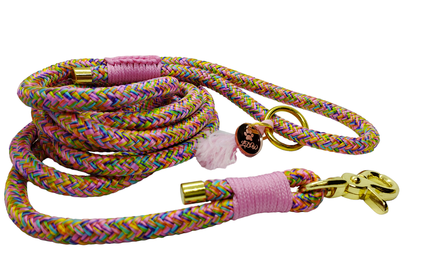 Laisse FLOWERS GOLD 10mm
