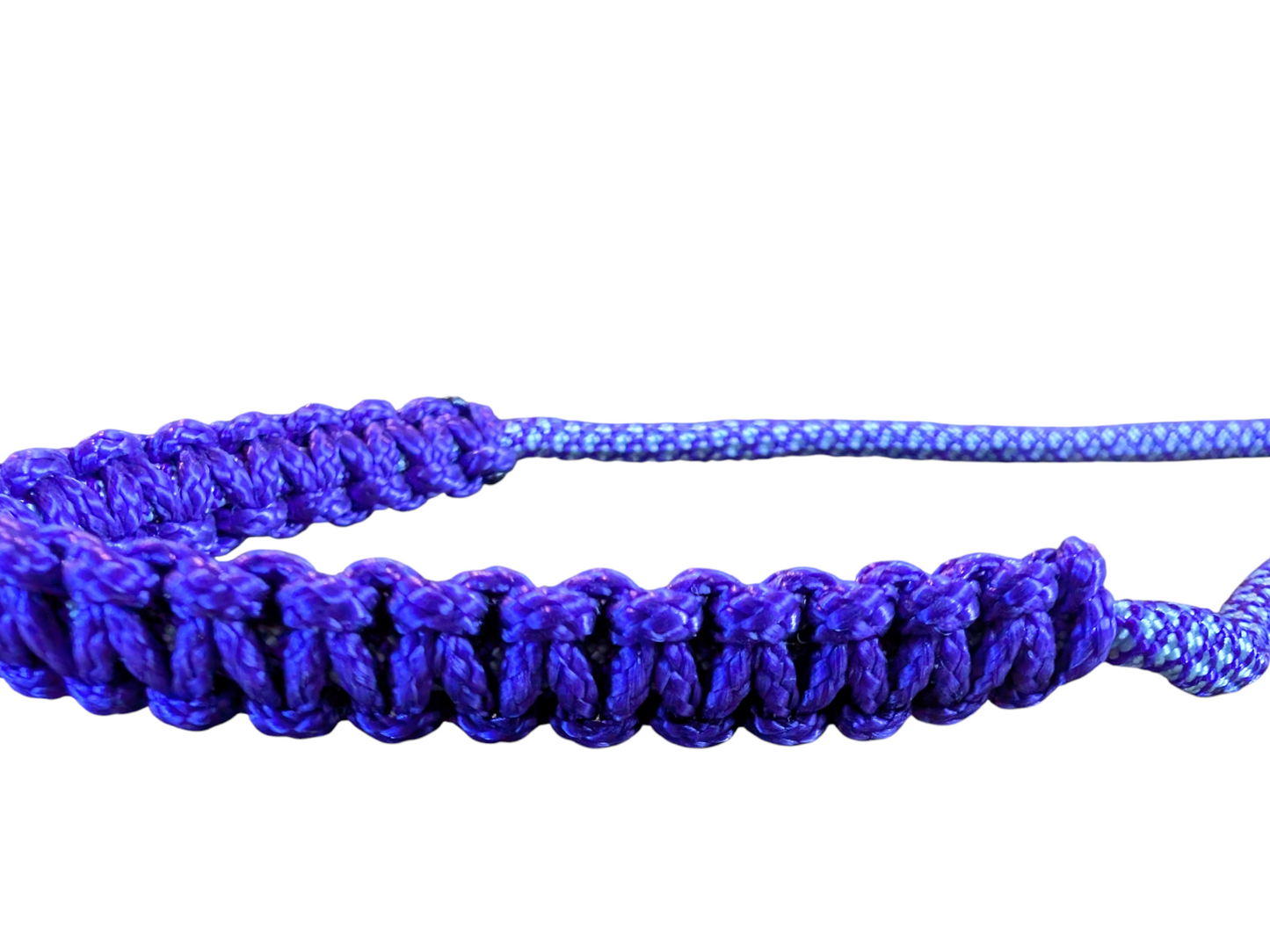 Laisse d'exposition canine