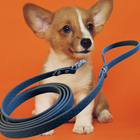 Laisse pour chien  Pop Dog "Hexa-Confort" | Hexa 16 mm, 20mm | Laisse de Wouf