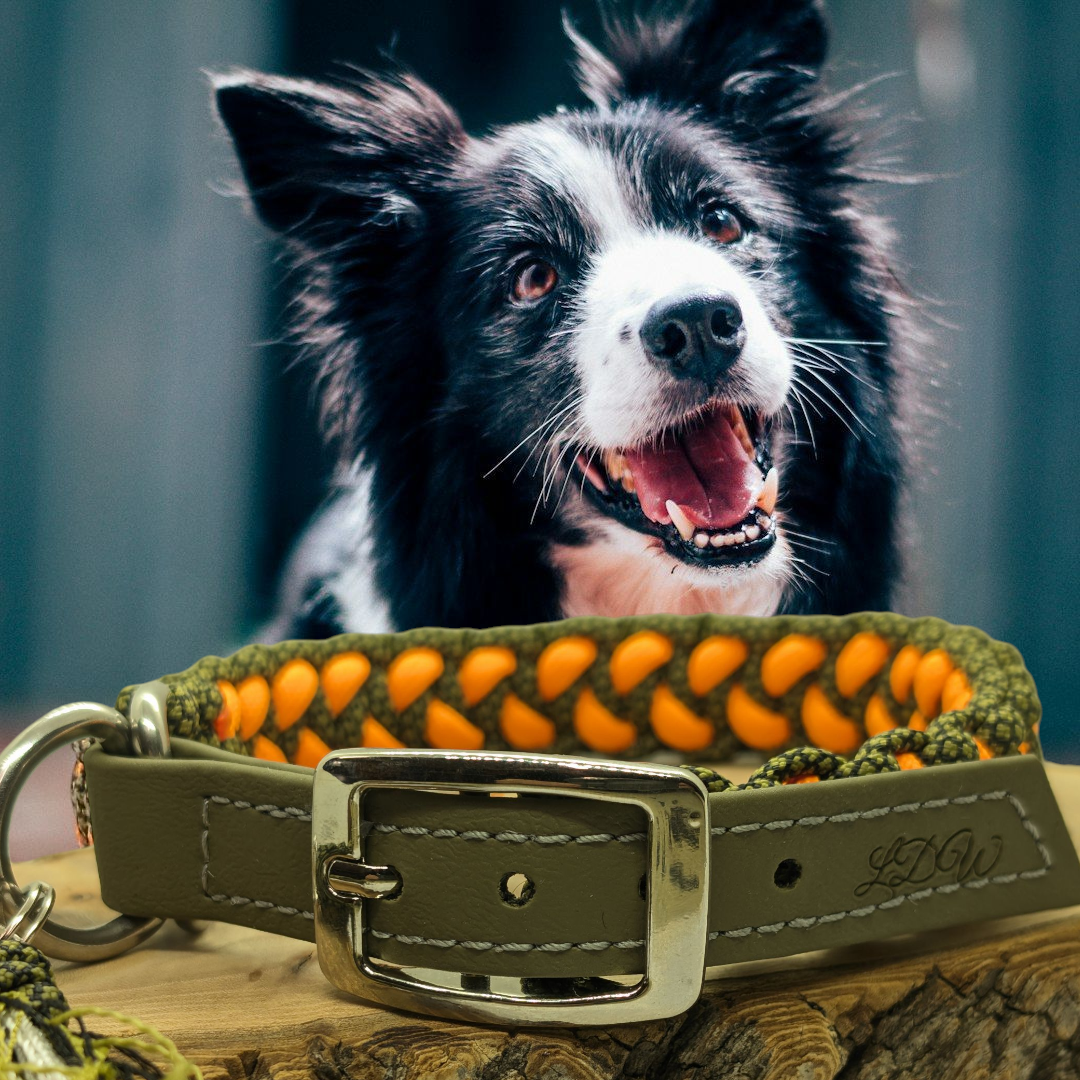 Trapper-Hundehalsband Orange/Khaki – 2 cm breit | Wouf-Leine