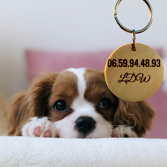 Hunde-Erkennungsmarke aus lackiertem Holz | Pfotenabdruck-Design