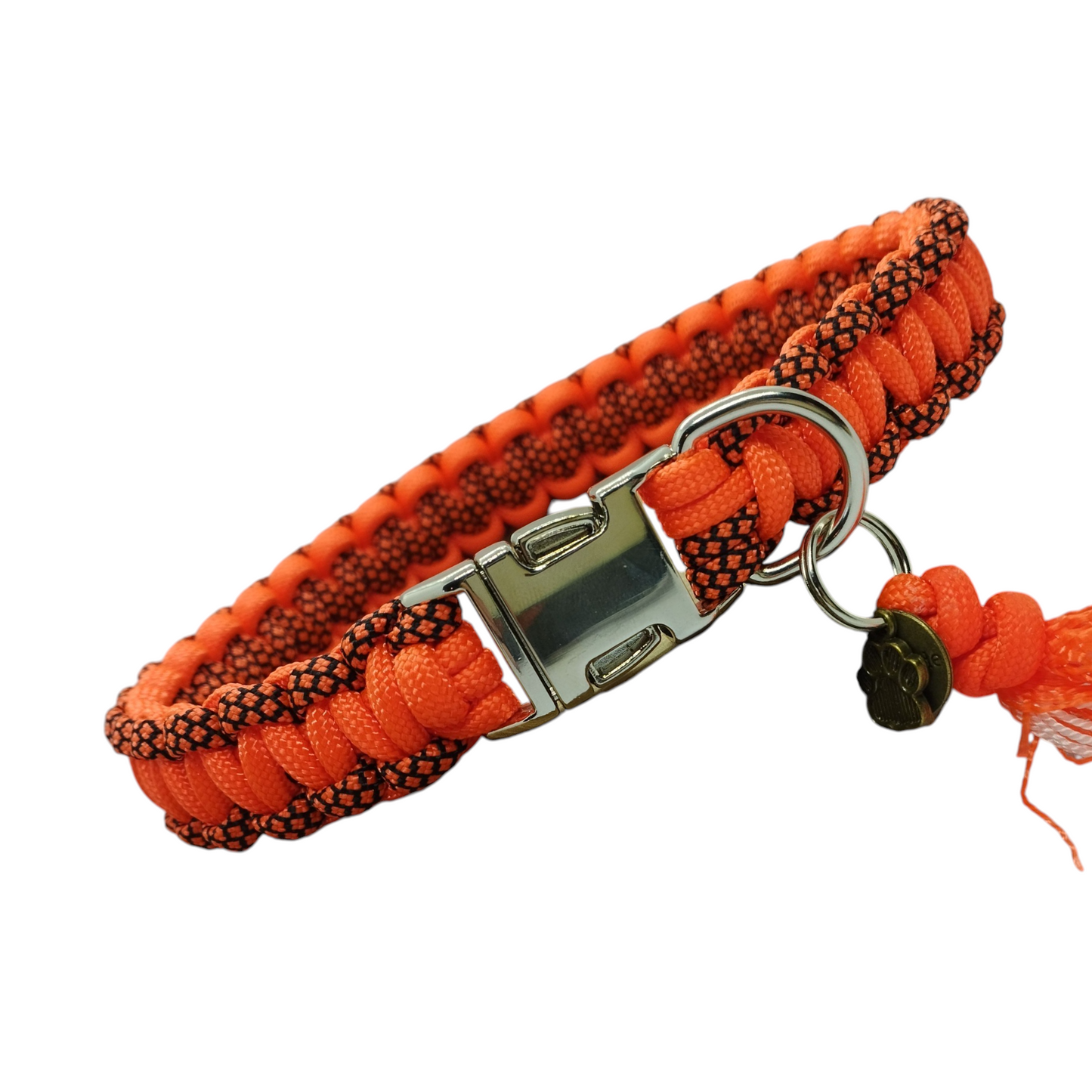 Collier pour chien DIAMOND NEON - Largeur 2cm