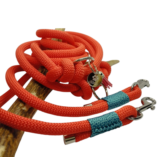 Laisse 3 points TWIST orange paracorde 10mm